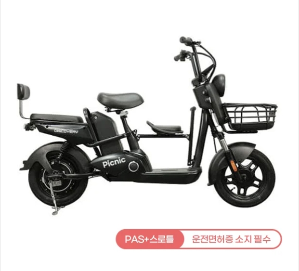 레이윙 디스커버리 피크닉 S30 전기 전동스쿠터 18A